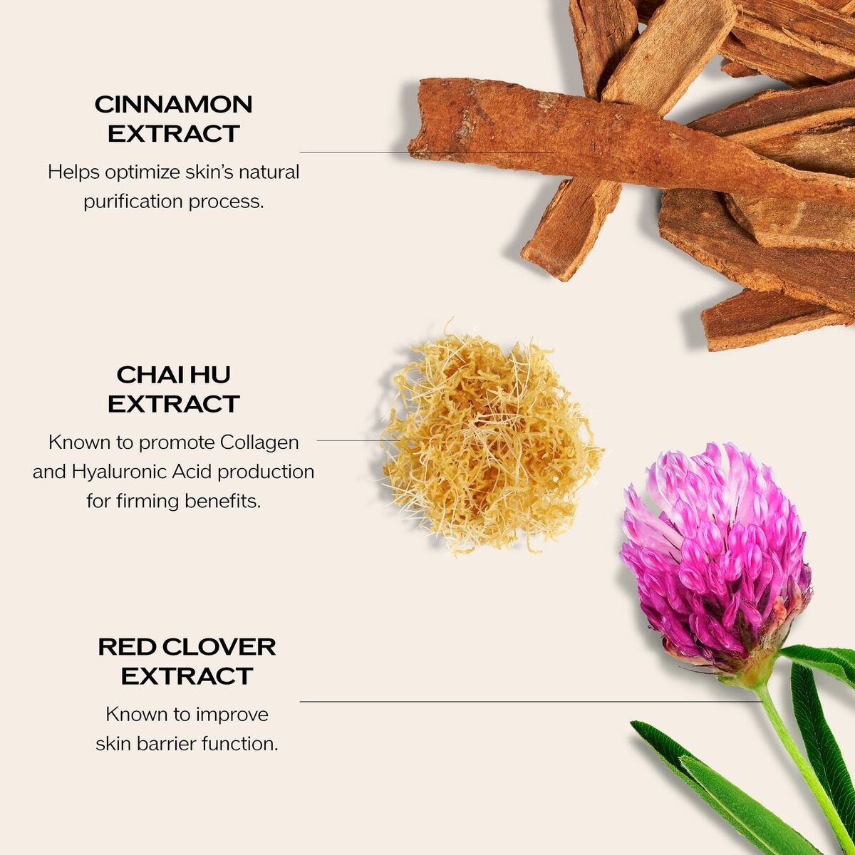 Facial Cream Shiseido Performance-4