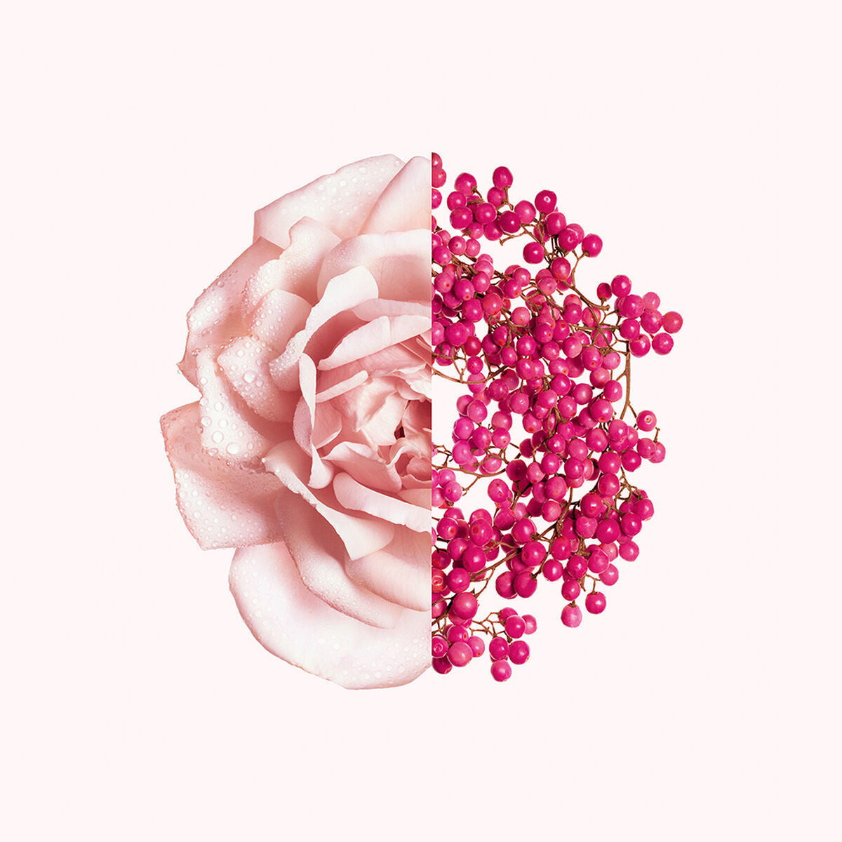 Women's Perfume Givenchy Irresistible EDT 80 ml-5