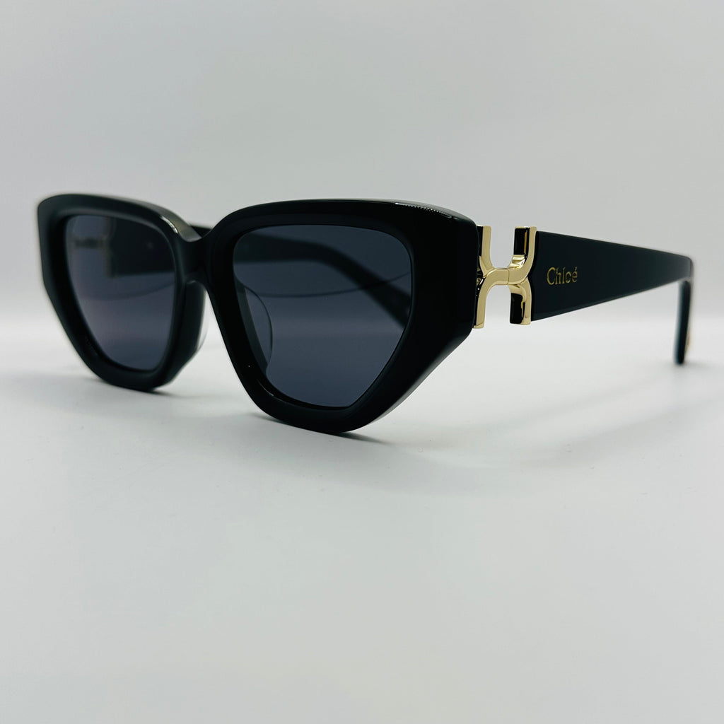 Acetate Square Frame Chloe CH0235S Full Rim Sunglasses 55mm Lens Width-0