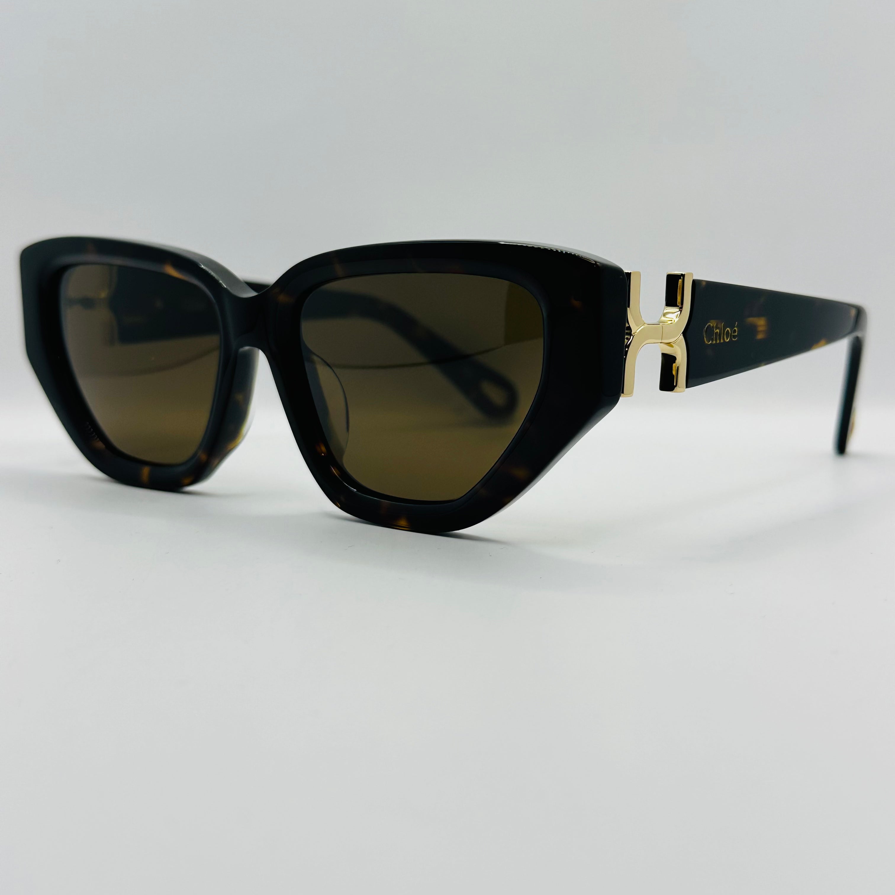 Acetate Square Frame Chloe CH0235S Full Rim Sunglasses 55mm Lens Width-3