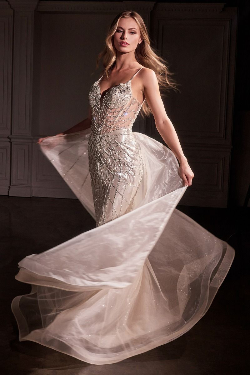 Fit & Flare Crystal Embellished Gown & Overskirt  | Ships from USA